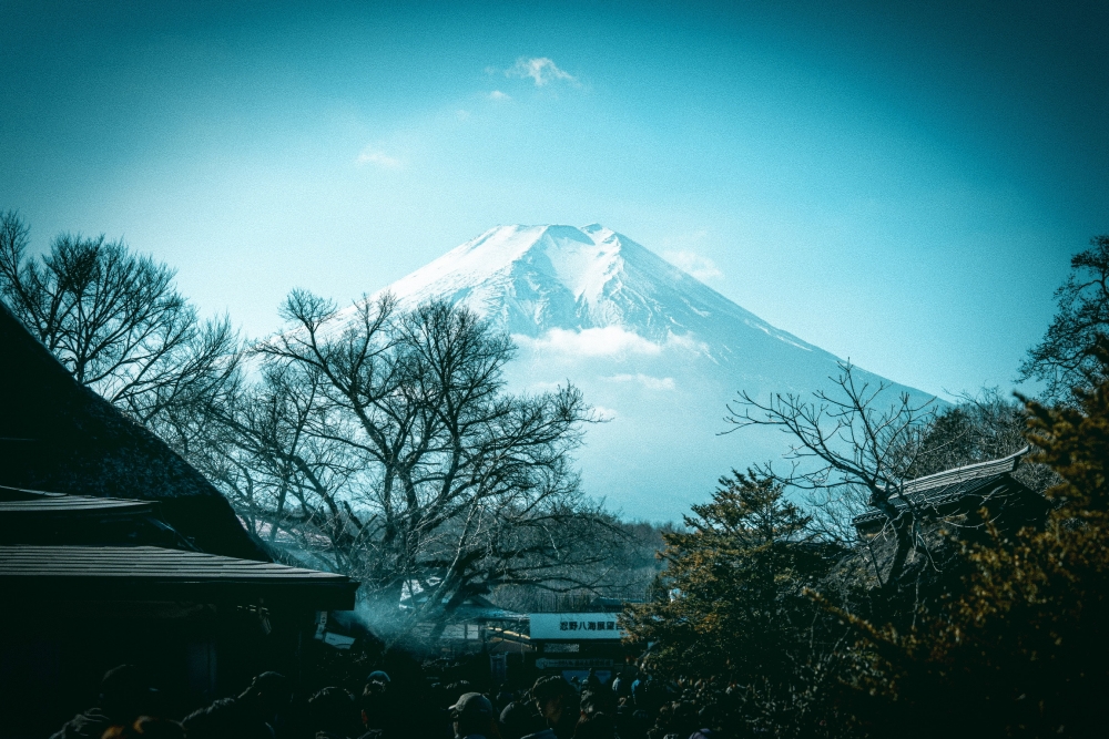 Aqua Tone 400 frame with a misty teal skyline captured in Vintage Film Camera